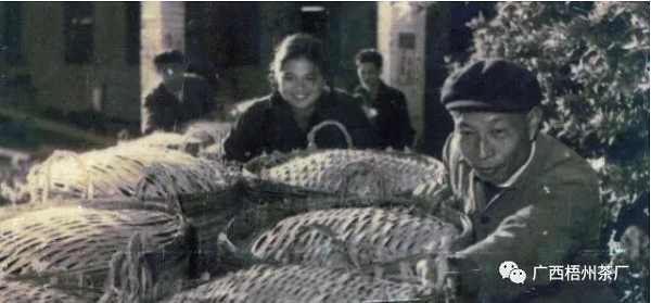 圖片2.png 圖片2.png